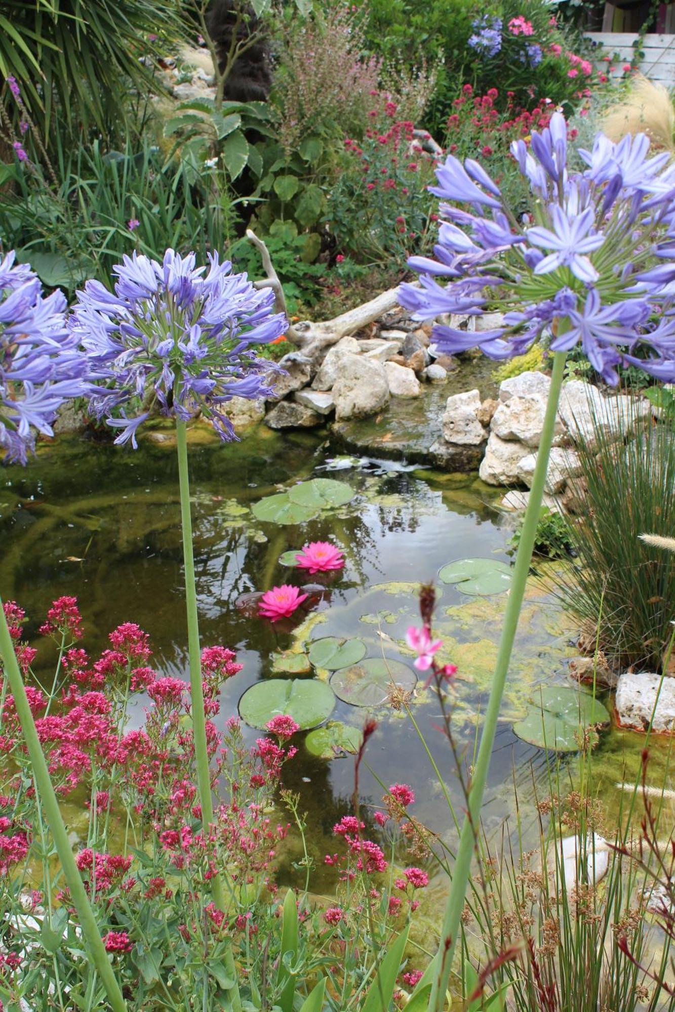 La Douce Charentaise Bed and Breakfast Mérignac Εξωτερικό φωτογραφία